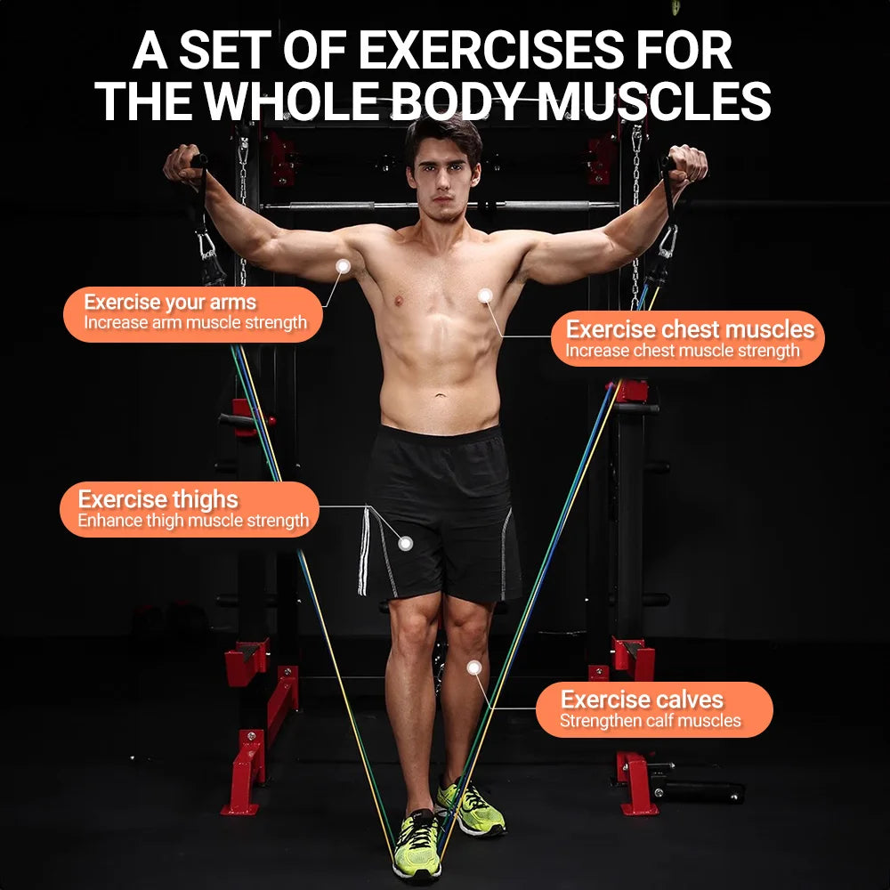 Ultimate Home Gym: Portable Resistance Bands Set for Full Body Muscle Training